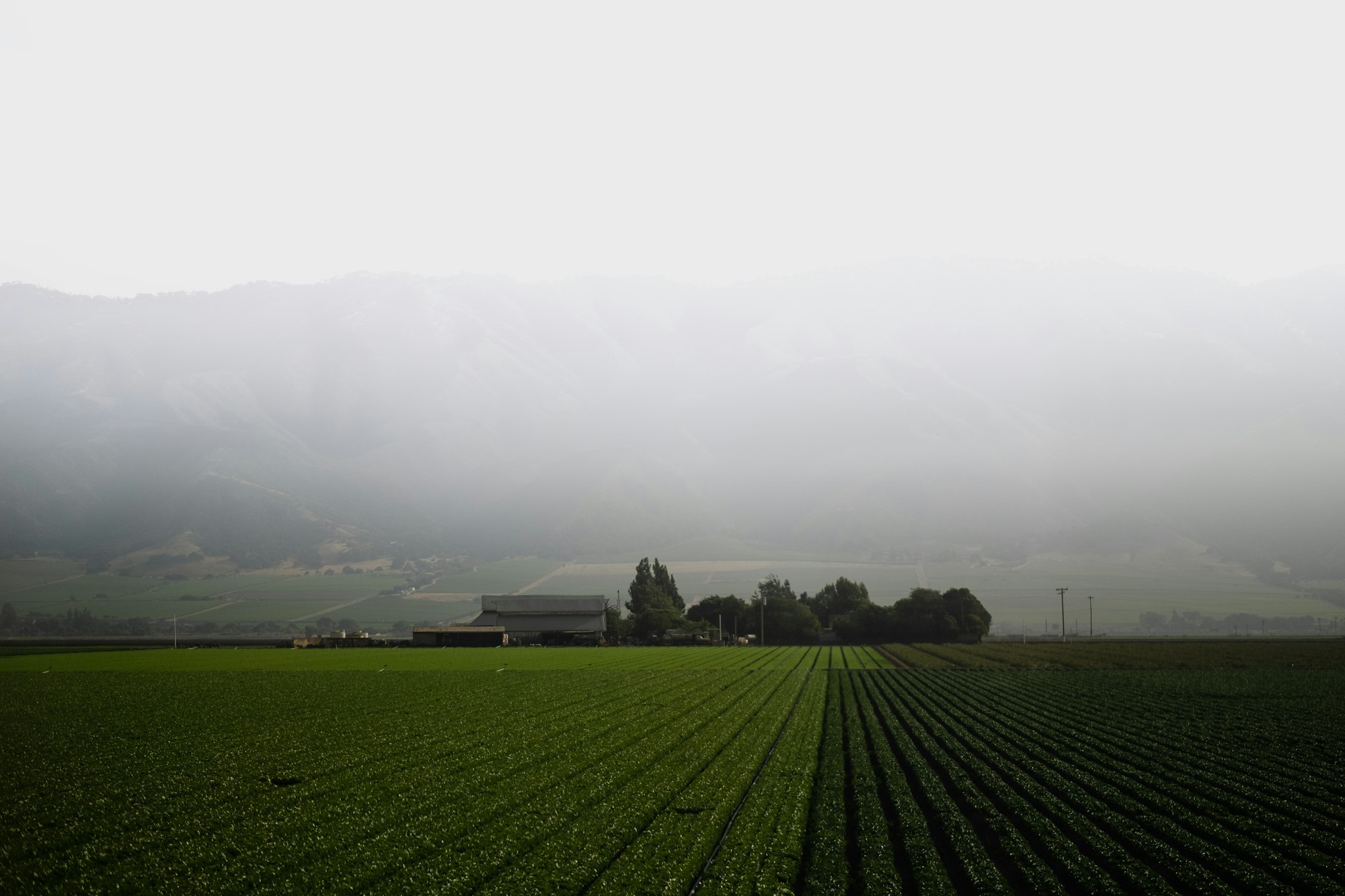 Central Valley farmland