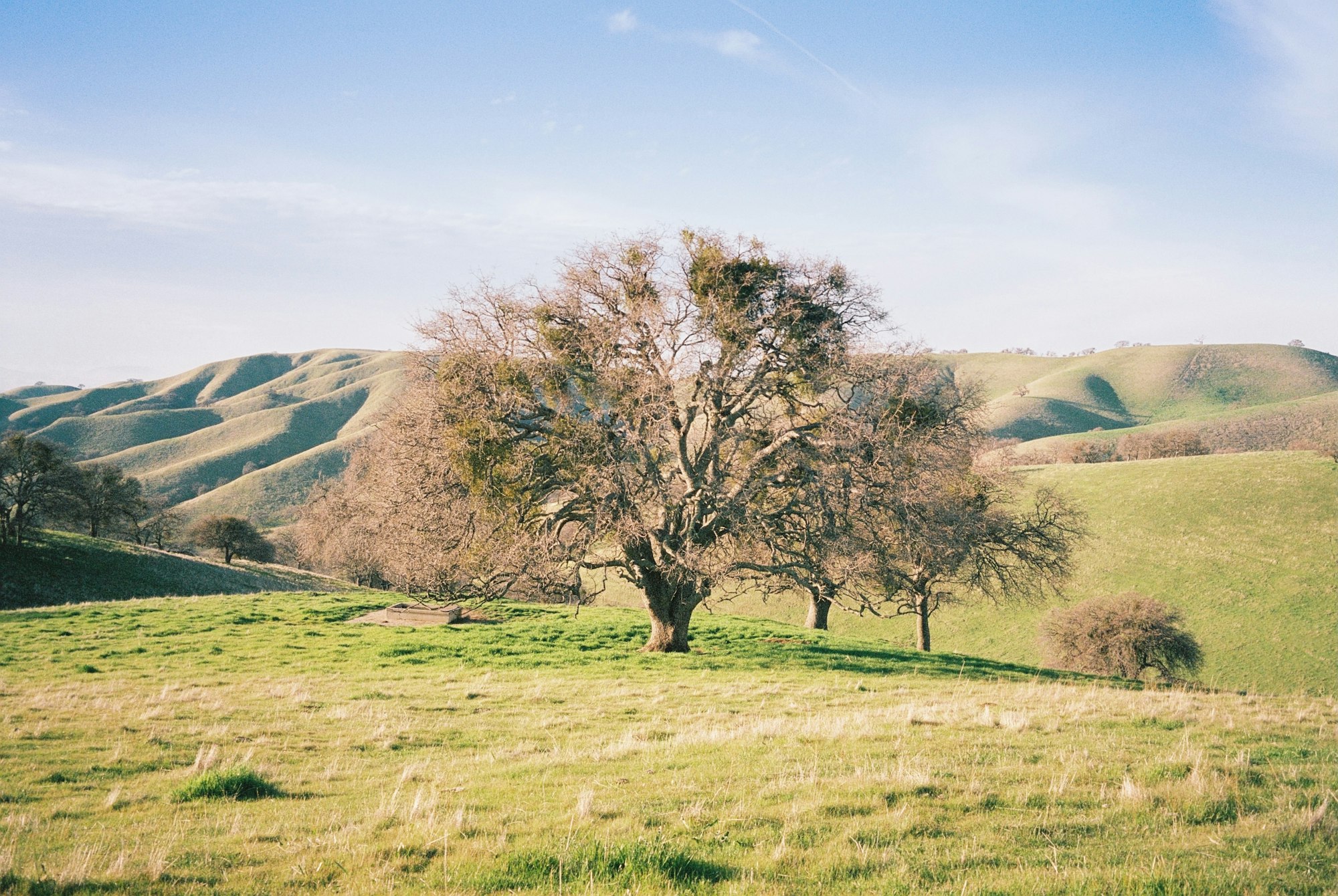 Green hills near Livermore